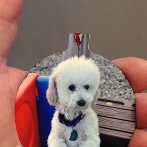 Meet your Posher, Donald